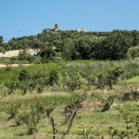 Queen Appartamenti E Camere Campofilone Kültér fotó