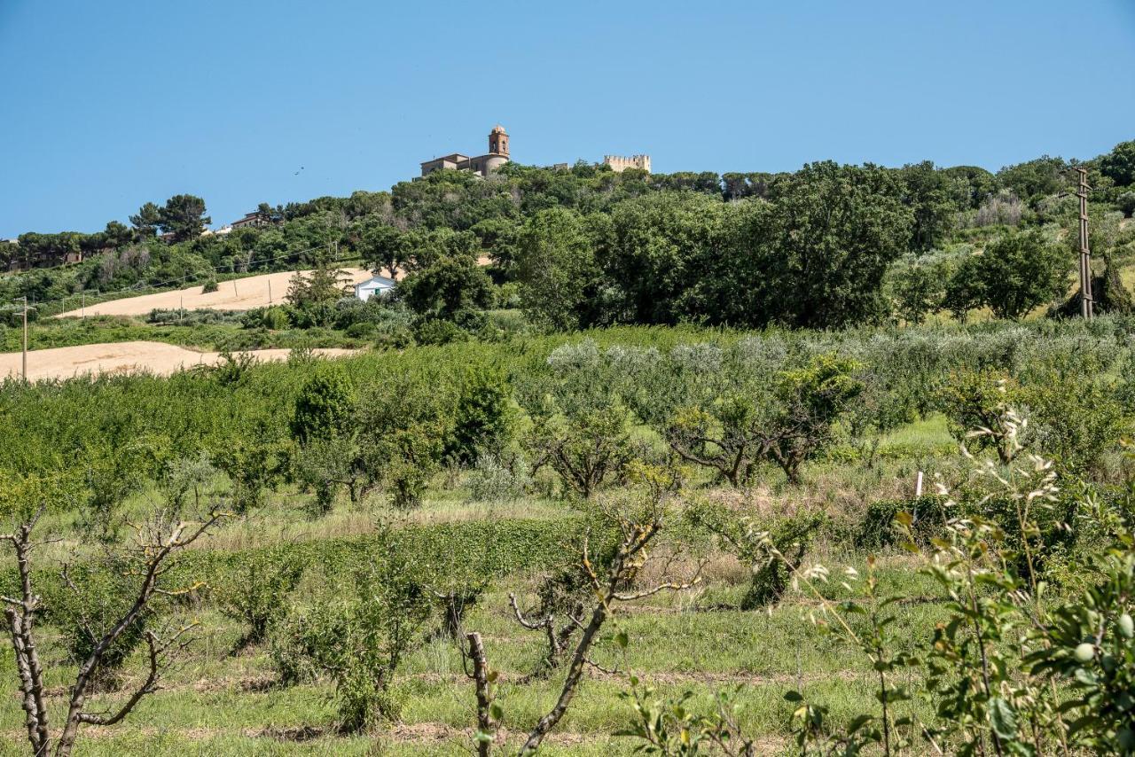 Queen Appartamenti E Camere Campofilone Kültér fotó